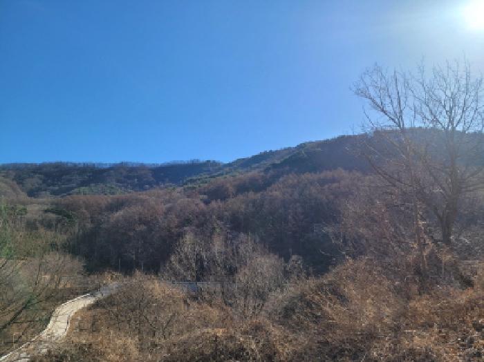 2025타경32223 임야 · 대구광역시 달성군 가창면