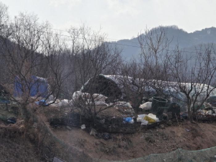 2025타경32258 · 경상북도 성주군 선남면 명포리 862