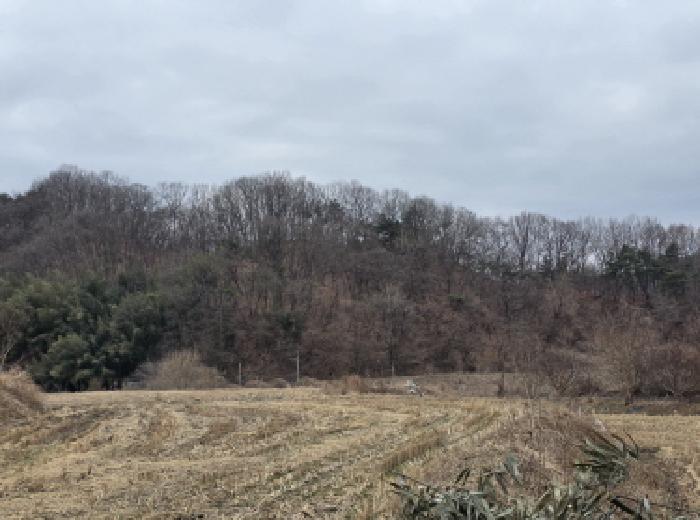 2025타경32292 임야 · 경상북도 성주군 대가면 금산리 산76-2