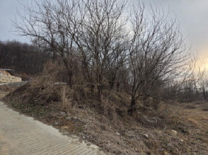2026타경1 공장 · 경상북도 성주군 선남면 유서리 178