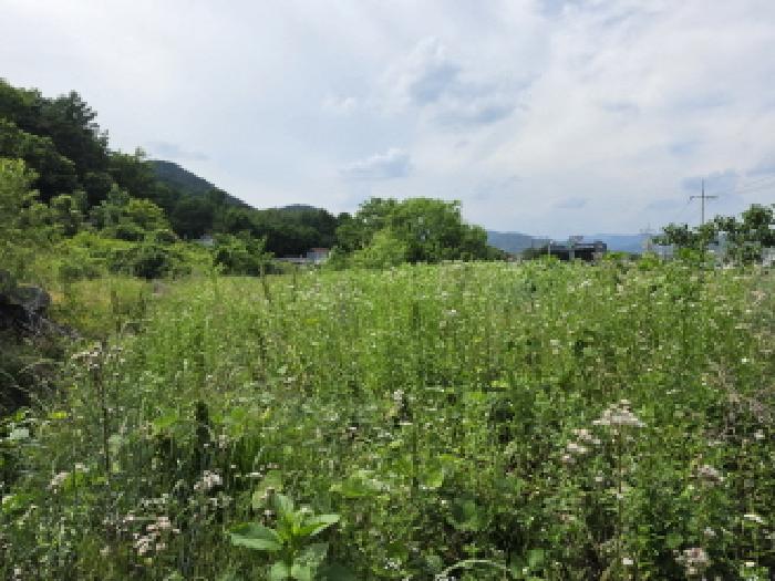 2026타경114 임야 · 경상북도 성주군 수륜면 수성리 산22