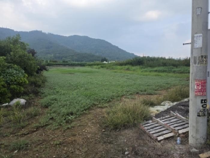 2026타경189 · 대구광역시 달성군 구지면 화산리 369