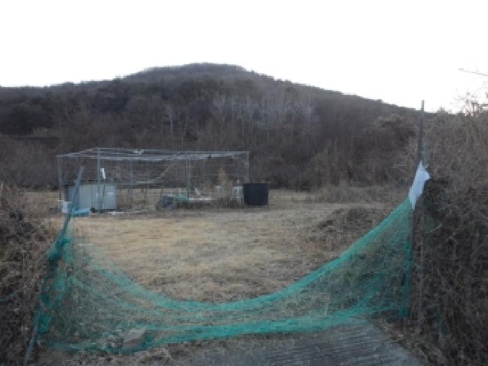 2026타경3021 전답 · 대구광역시 달성군 화원읍 명곡리 703