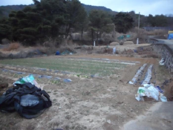 2026타경3109 · 대구광역시 달성군 논공읍 노이리 760