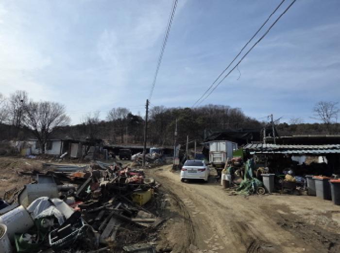 2026타경3112 임야 · 경상북도 성주군 선남면 도성리 산113