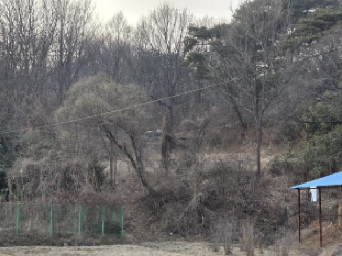 2026타경3167 · 경상북도 성주군 벽진면 자산리 588