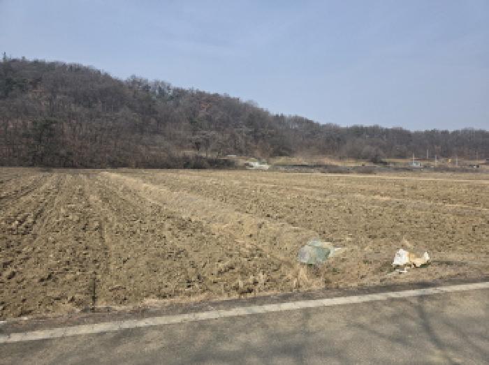 2026타경3182 전답 · 대구광역시 달성군 다사읍 문양리 792-1