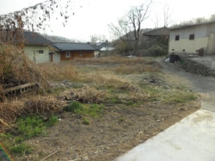 2026타경3231 대지 · 대구광역시 달성군 구지면 대암리 223