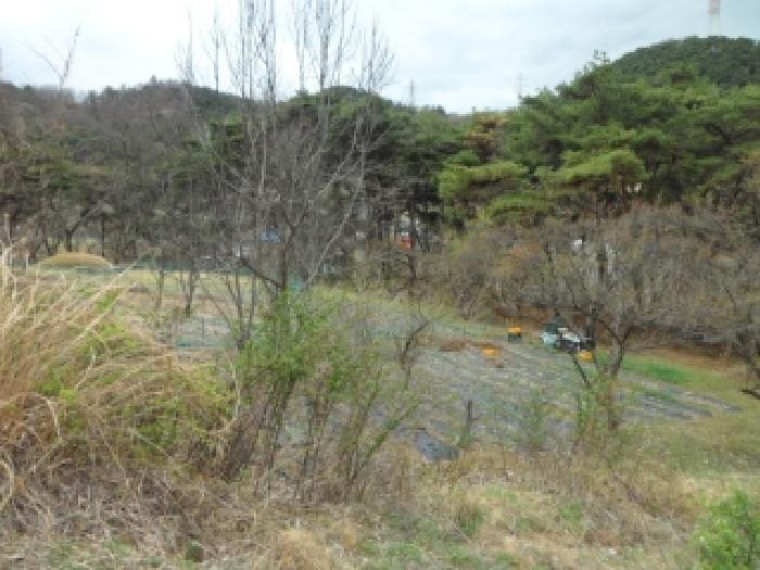 2026타경3267 · 경상북도 고령군 개진면 인안리 177-1