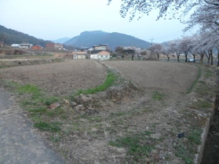 2026타경3276 전답 · 대구광역시 달성군 유가읍 본말리 807-2
