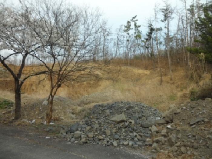 2026타경3340 임야 · 대구광역시 달성군 구지면 내리 산89