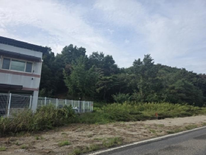 2026타경3576 임야 · 경상북도 고령군 운수면 신간리 산170