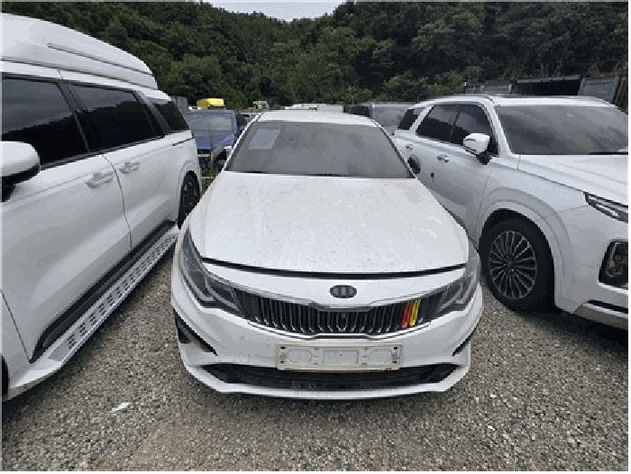 2026타경4031 · 사용본거지 : 대구광역시 서구 상리동