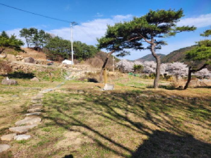 2026타경56 대지 · 경상북도 성주군 수륜면 백운리 887