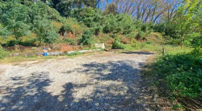 2024타경5317 · 부산광역시 부산진구 당감동