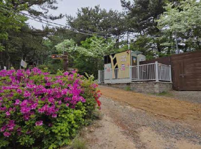 2025타경1466 임야 · 부산광역시 부산진구 초읍동