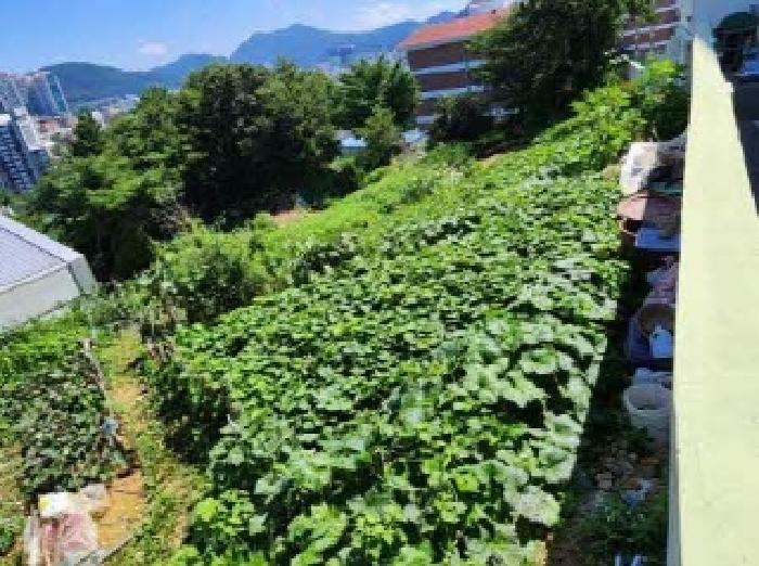 2025타경2605 임야 · 부산광역시 동래구 명장동 267-19