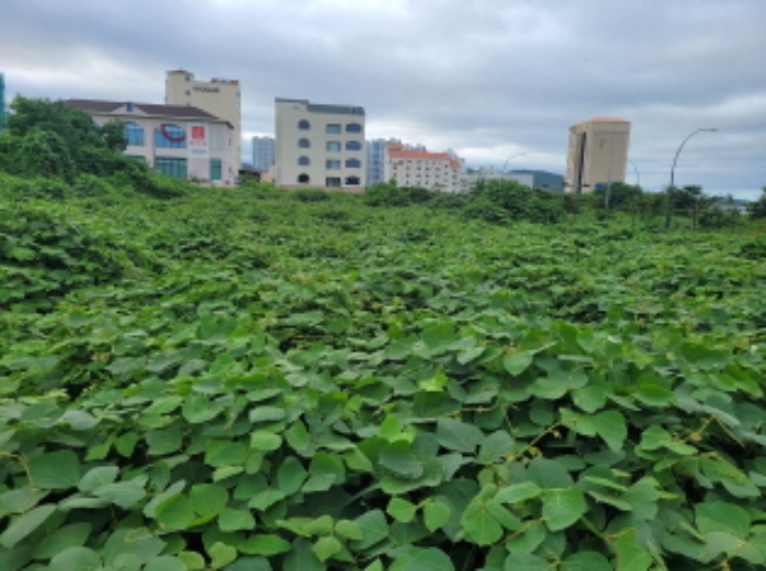 2023타경6033 대지 · 울산광역시 북구 산하동 1023-14