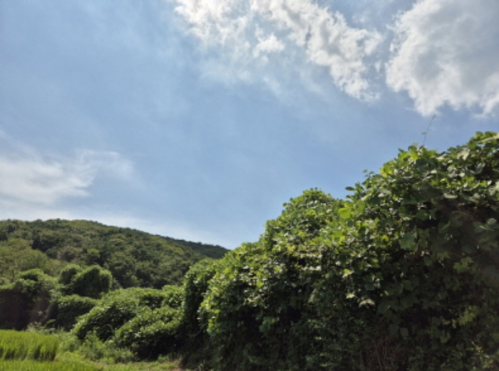 2024타경113204 임야 · 울산광역시 북구 신현동
