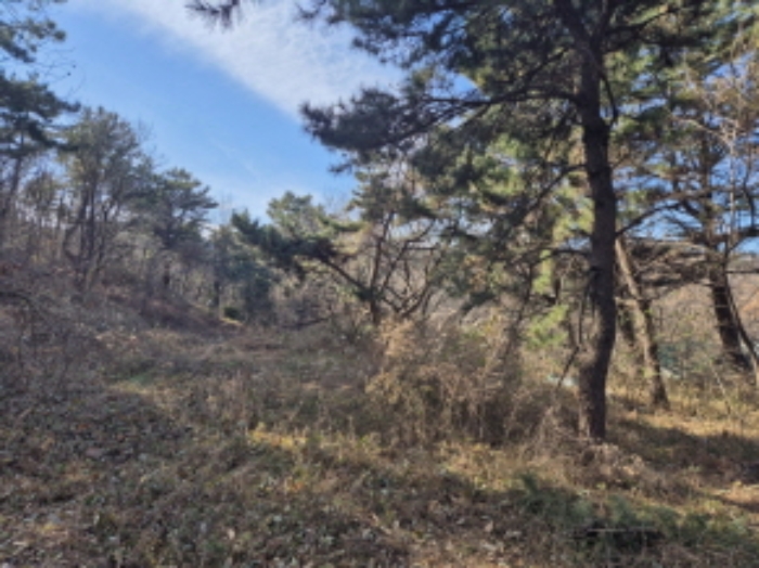 2024타경119721 임야 · 울산광역시 북구 당사동