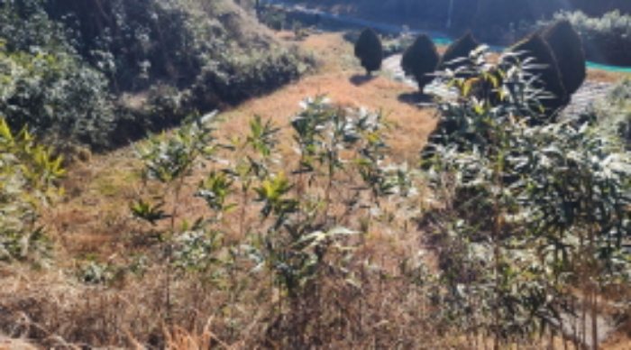2024타경120424 전답 · 울산광역시 울주군 언양읍