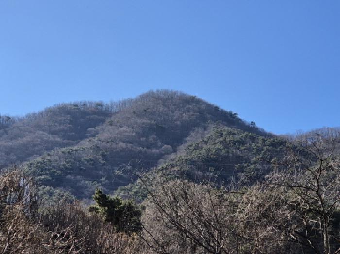 2025타경10036 임야 · 울산광역시 울주군 청량읍 율리 산297-2