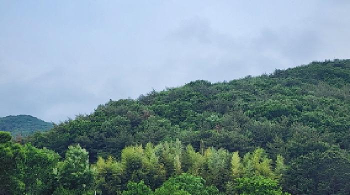 2025타경1100 임야 · 울산광역시 울주군 웅촌면