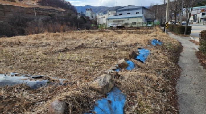 2025타경11297 전답 · 경상남도 양산시 어곡동 1202-3