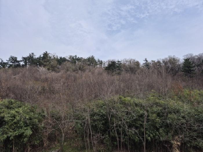 2025타경11458 대지 · 울산광역시 북구 대안동