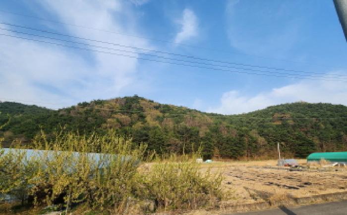 2025타경11519 임야 · 울산광역시 울주군 상북면