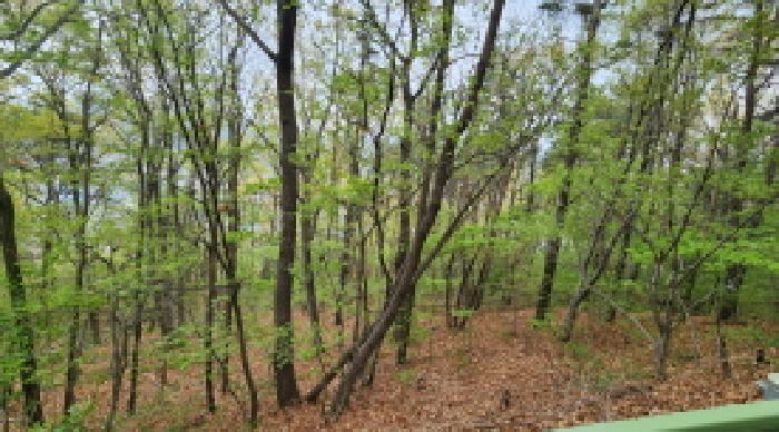 2025타경11572 임야 · 울산광역시 울주군 웅촌면 곡천리 산22-7