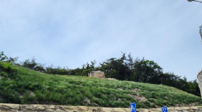 2025타경11660 임야 · 경상남도 양산시 하북면