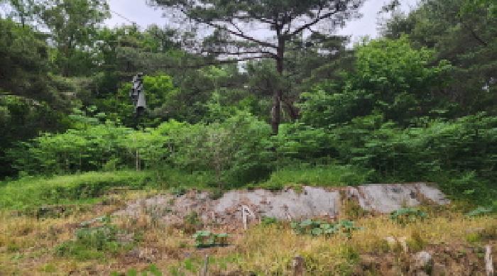 2025타경11681 전답 · 울산광역시 울주군 상북면