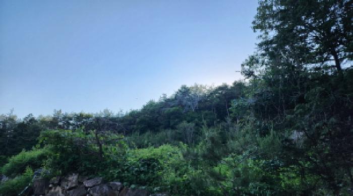 2025타경11870 임야 · 울산광역시 울주군 삼동면 하잠리 1223-7