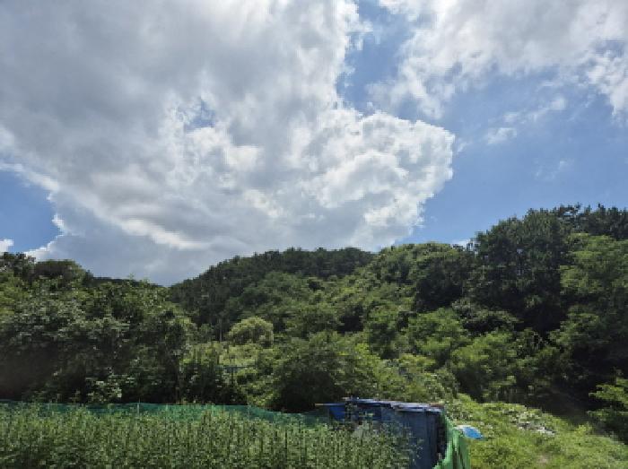 2025타경12038 임야 · 울산광역시 북구 구유동