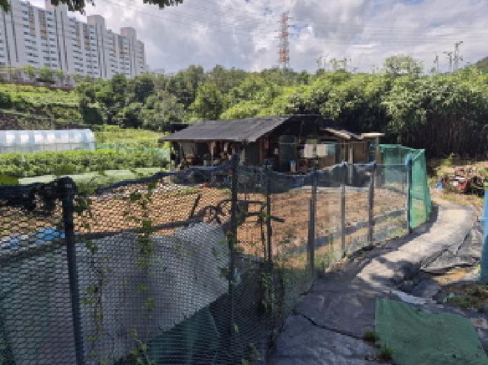2025타경12050 임야 · 울산광역시 중구 성안동 571