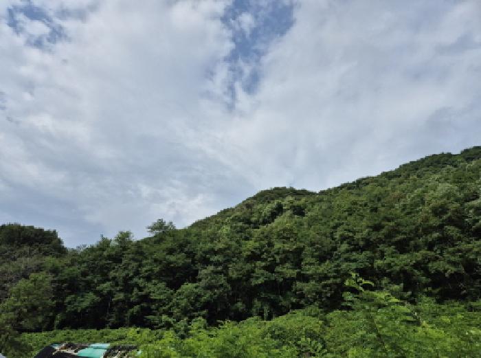 2025타경12115 임야 · 울산광역시 북구 매곡동