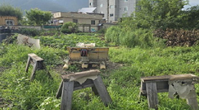 2025타경12149 대지 · 울산광역시 울주군 삼남읍 방기리 635-5