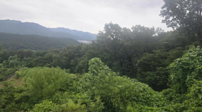 2025타경12207 임야 · 경상남도 양산시 주남동