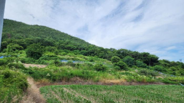 2025타경1226 전답 · 울산광역시 울주군 두서면