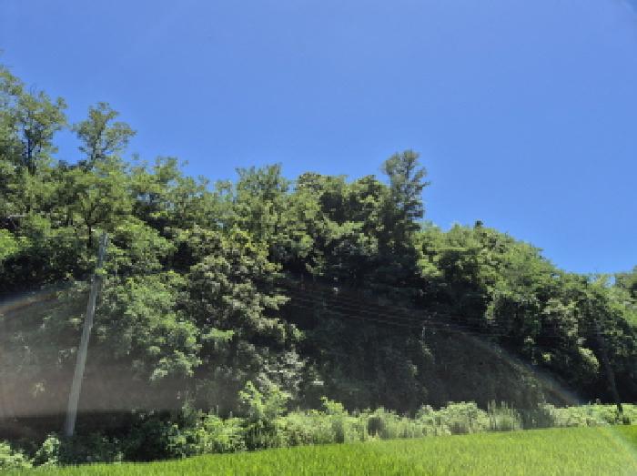 2025타경1243 임야 · 울산광역시 울주군 서생면