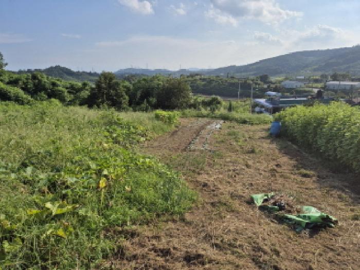 2025타경12454 · 울산광역시 울주군 서생면