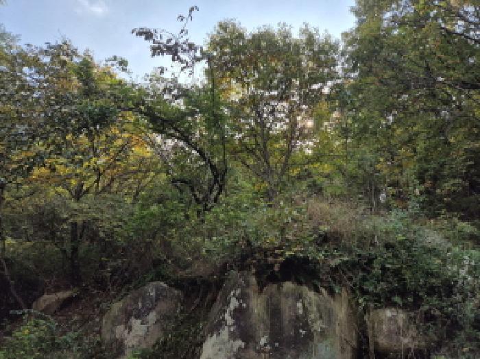 2025타경12480 · 울산광역시 울주군 청량읍 율리 679