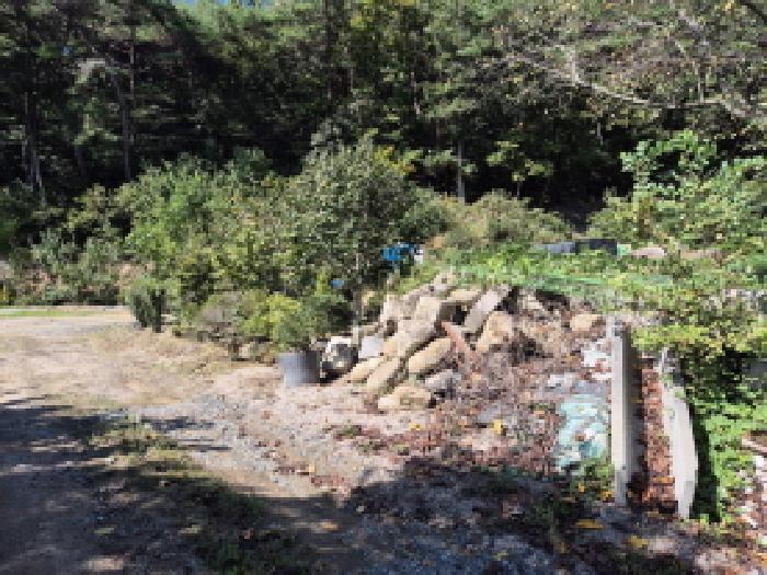 2025타경12494 대지 · 울산광역시 중구 유곡동 868