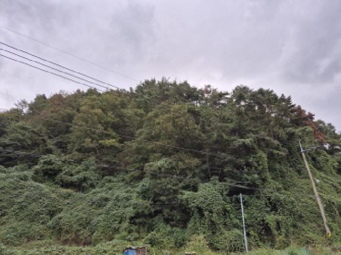 2025타경12498 임야 · 울산광역시 울주군 온산읍