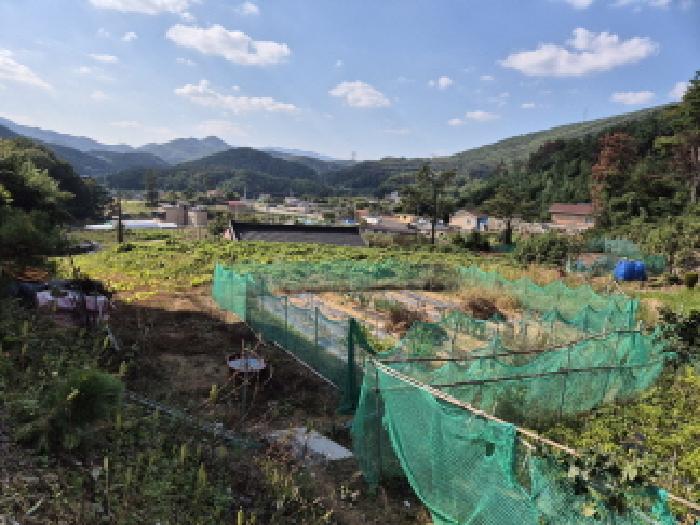 2025타경12575 임야 · 울산광역시 울주군 온양읍 삼광리 875-1
