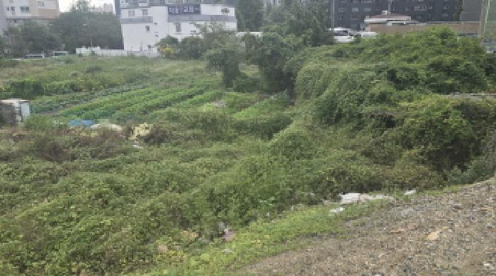 2025타경12600 대지 · 경상남도 양산시 소주동 142-3