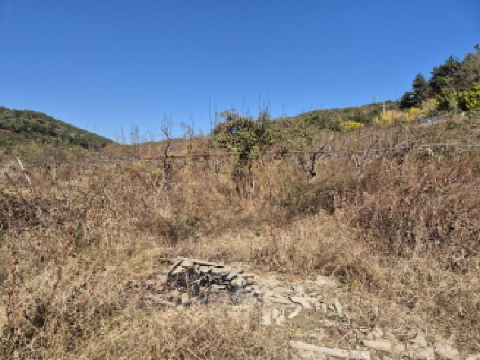 2025타경12719 전답 · 울산광역시 울주군 서생면 화산리 471