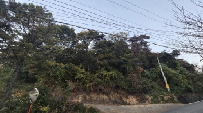 2025타경12724 임야 · 울산광역시 울주군 두서면 구량리 산37