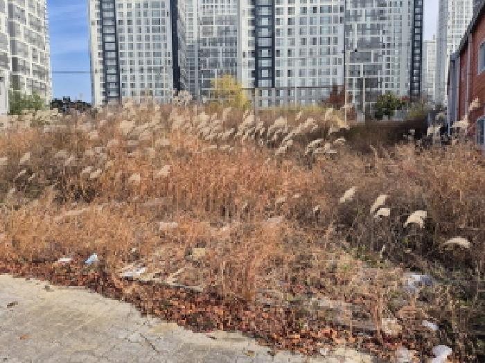 2025타경12829 대지 · 울산광역시 북구 매곡동 899-3